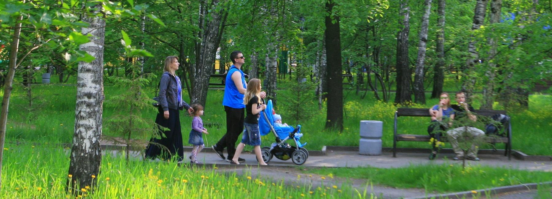 Каким горожане видят сквер Сибиряков-Гвардейцев: опрос мэрии