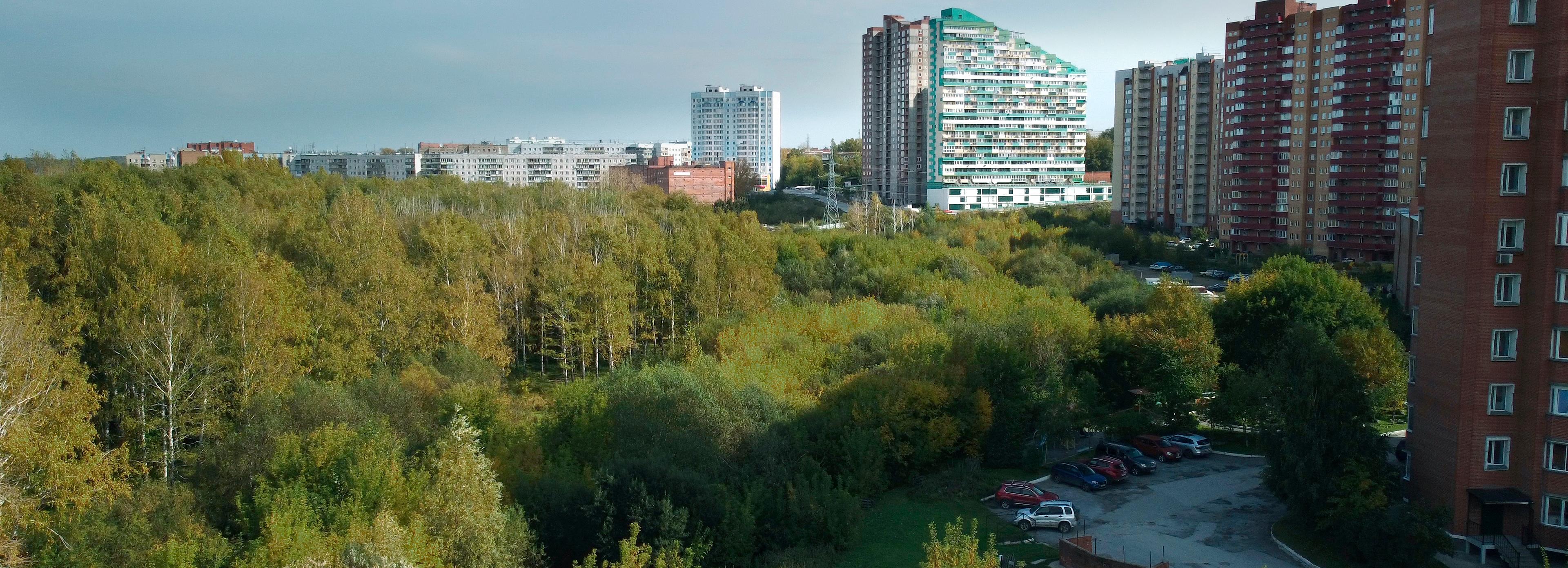 Как проголосовать за имя парка в пойме речки Каменки — восемь шагов