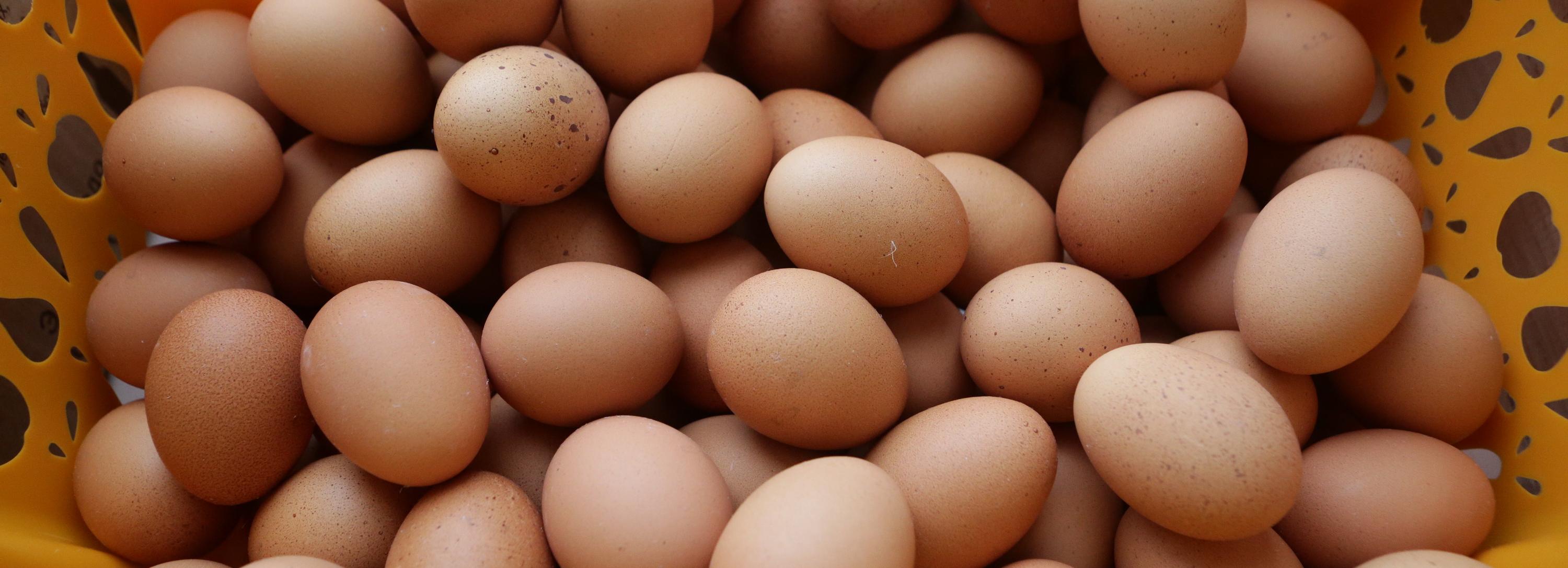 На ярмарке в Новосибирске сбросят цены на курицу, яйца и колбасу