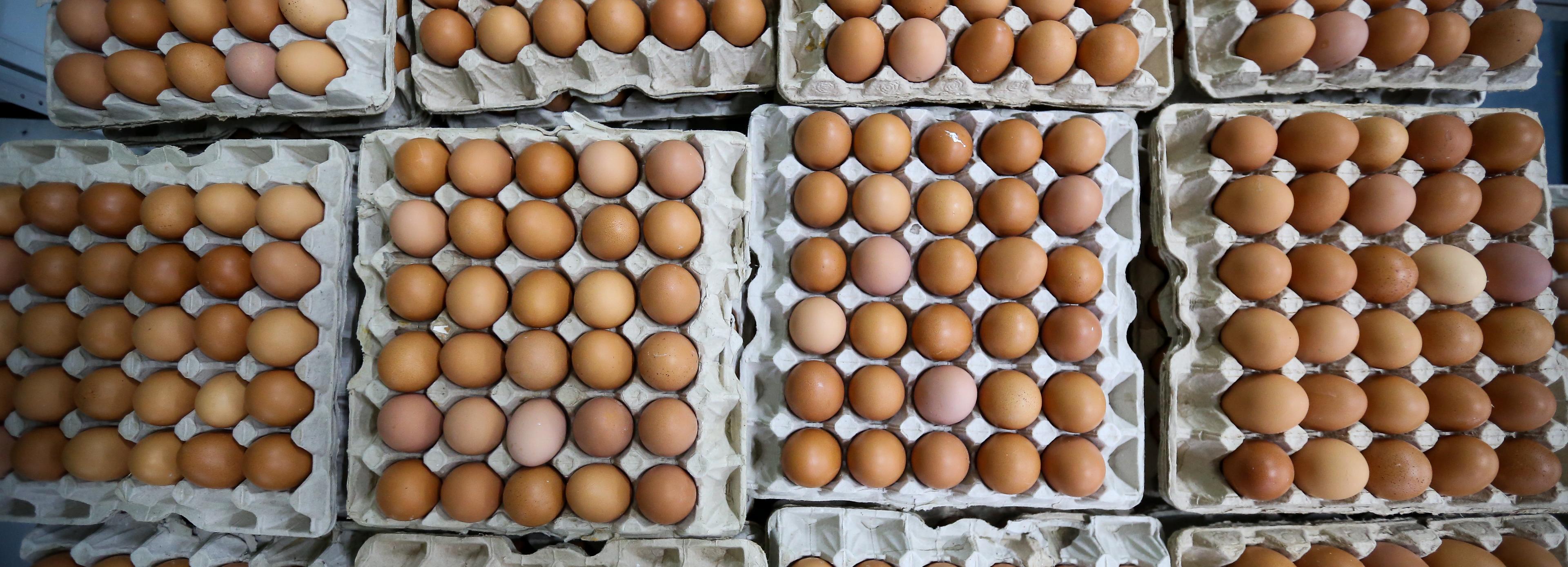 Шесть птицефабрик подписали соглашение о сдерживании цен на яйца