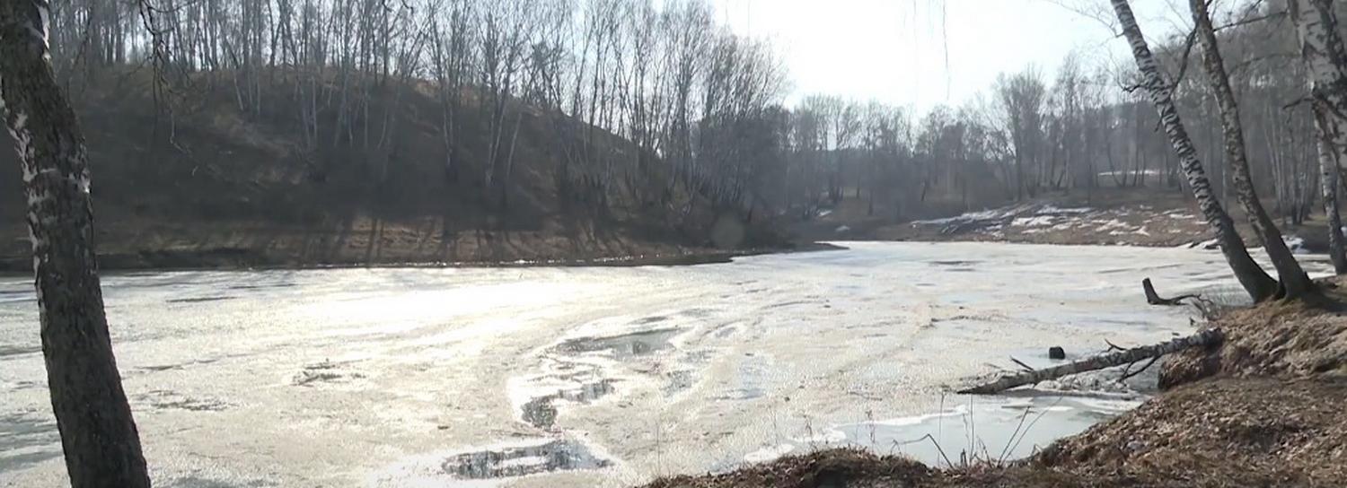 Безымянное озеро в Дзержинке взяли под защиту активисты ТОС