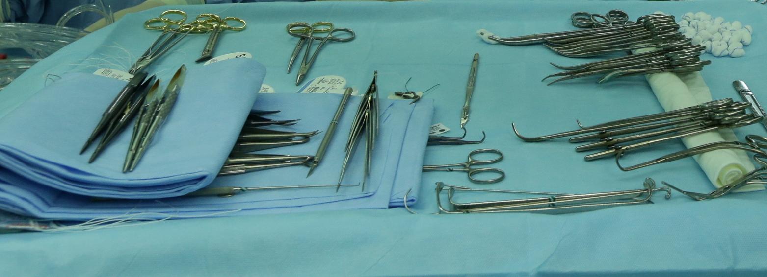 Беременную зайчиху спасли от собак на заводе Чкалова в Новосибирске