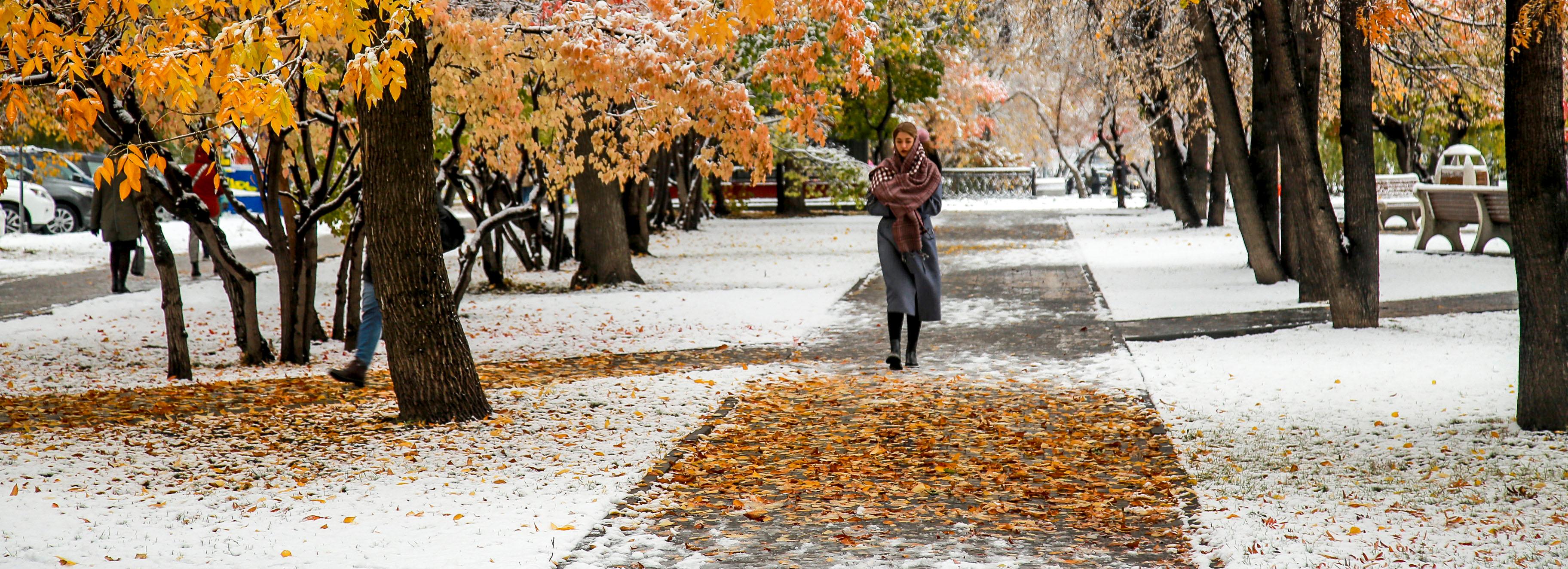 Экстренное предупреждение о снегопадах и ветре объявили в Новосибирске