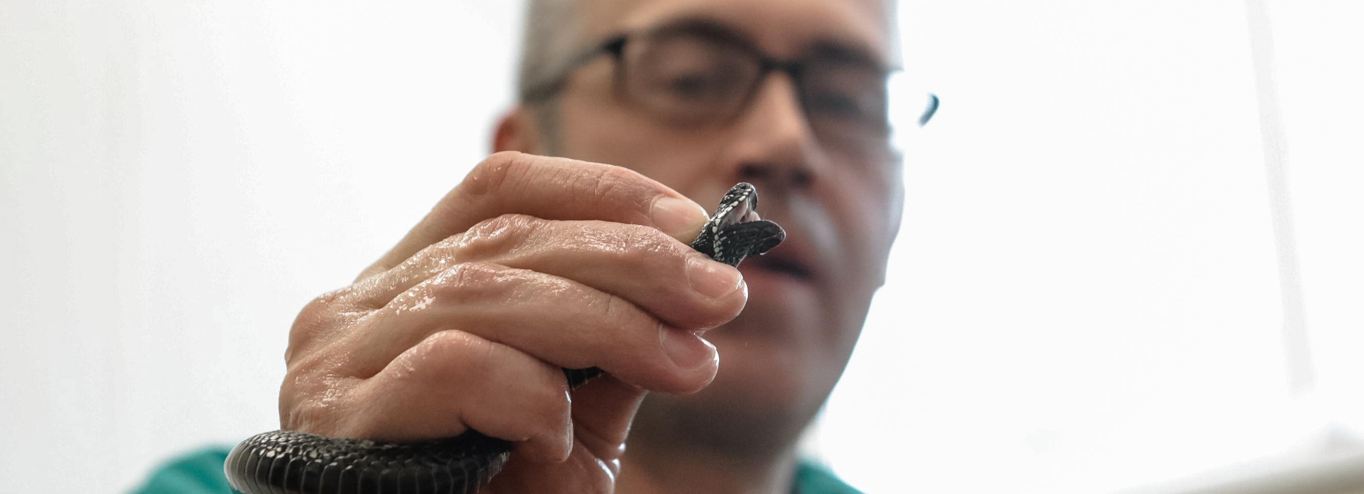 Царство змей в Новосибирске: репортаж из уникального серпентария