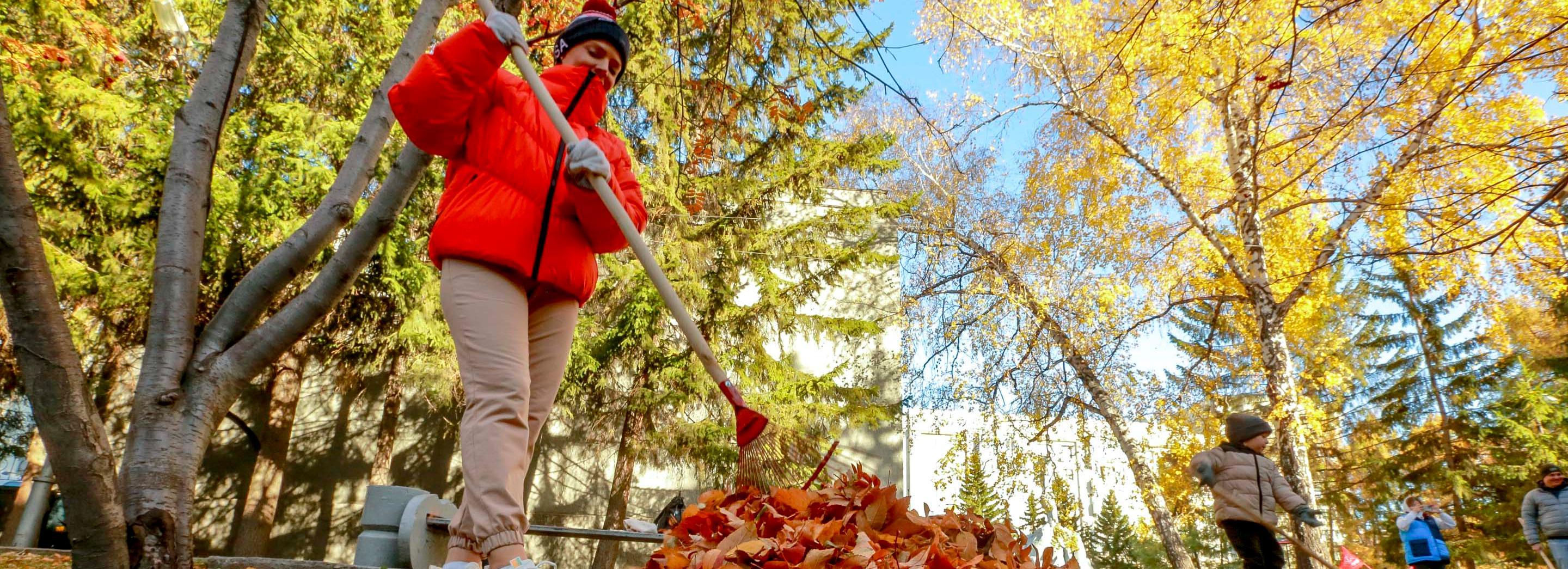 Мэр Кудрявцев позвал новосибирцев на субботник 4 октября