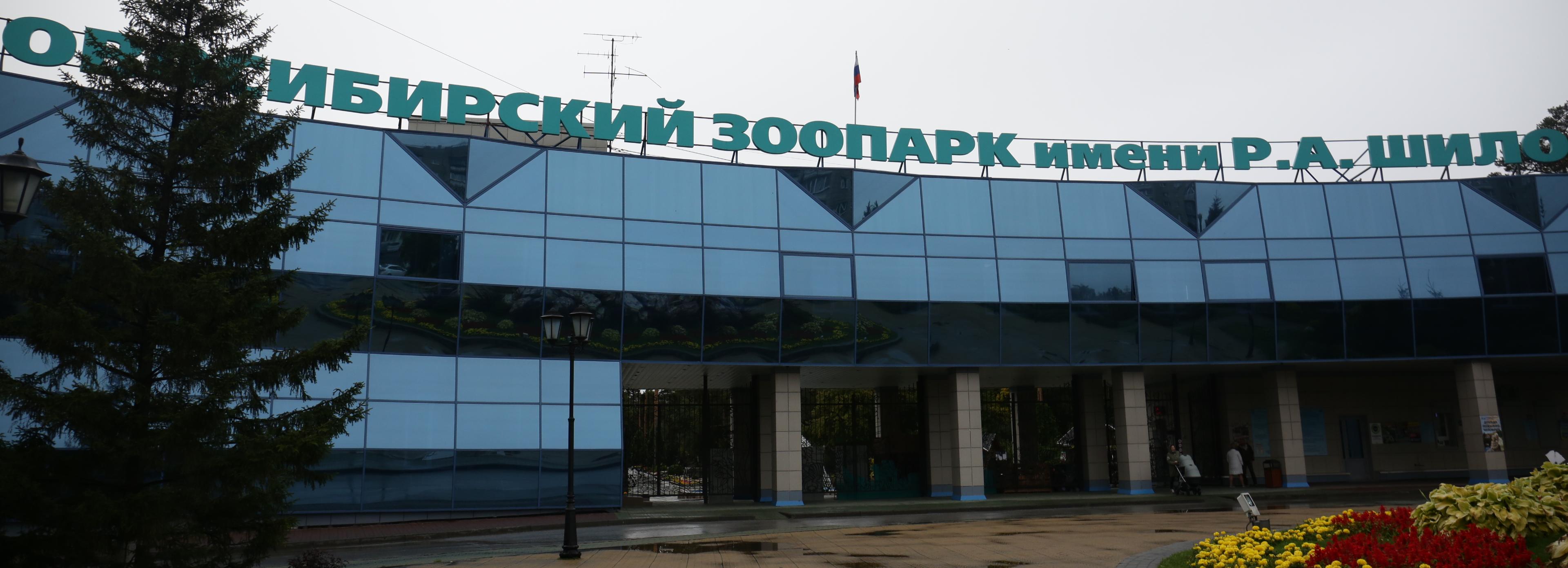 Несите тыквы: ящик для сбора урожая поставили у главного входа в зоопарк