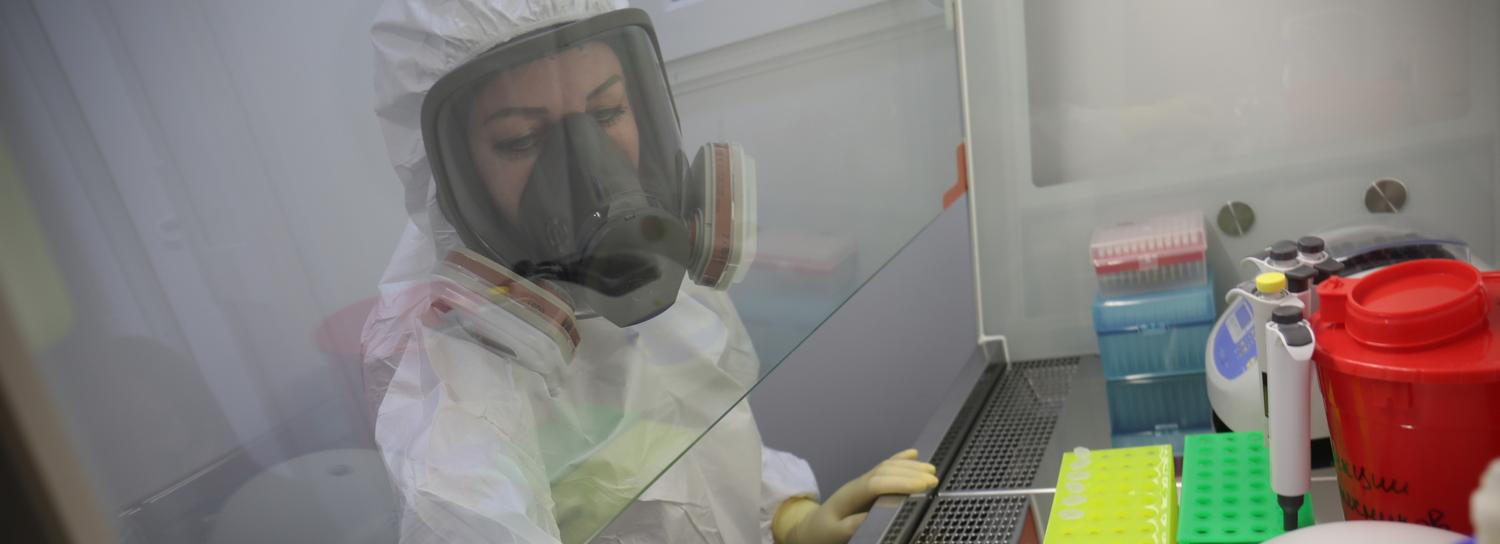 Сводка по COVID за 29 ноября: умерли трое мужчин и три женщины