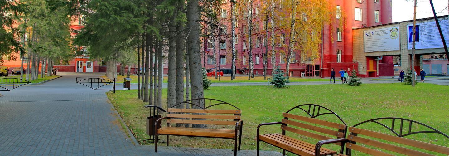 Дипломники НГТУ защитили переводчик с якутского и сборщик подарков