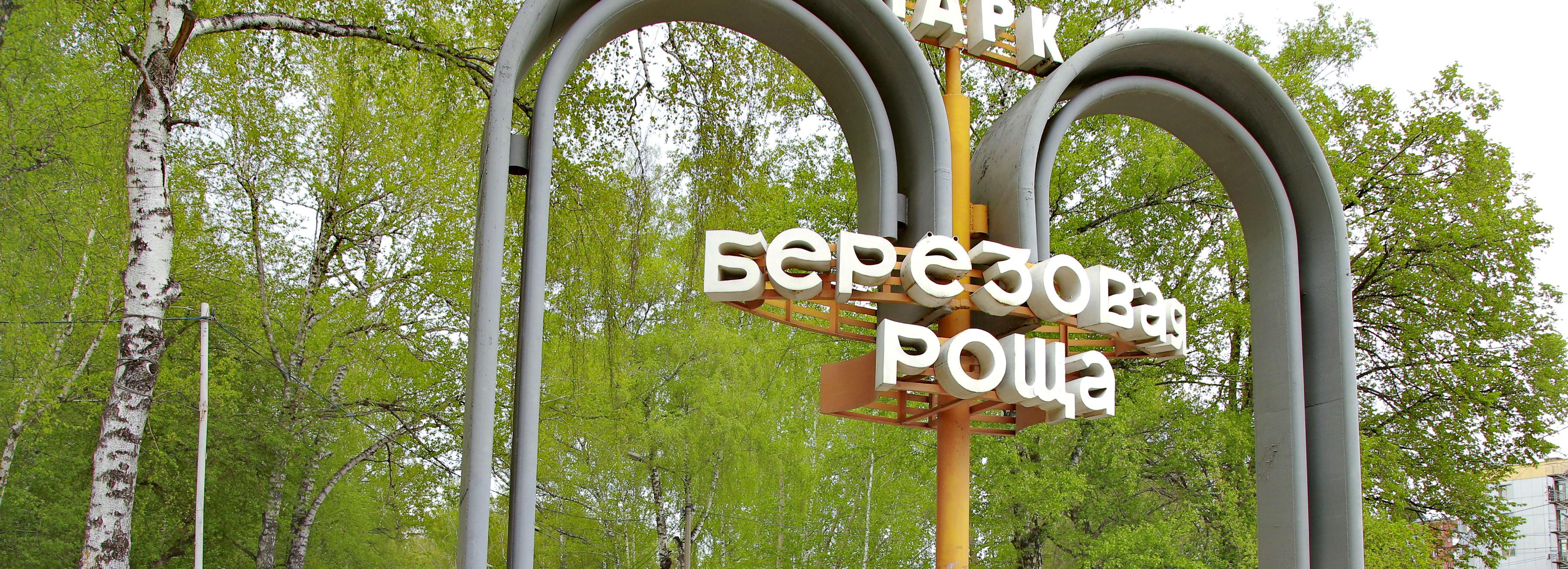 131 дерево высадят к середине осени в Берёзовой роще