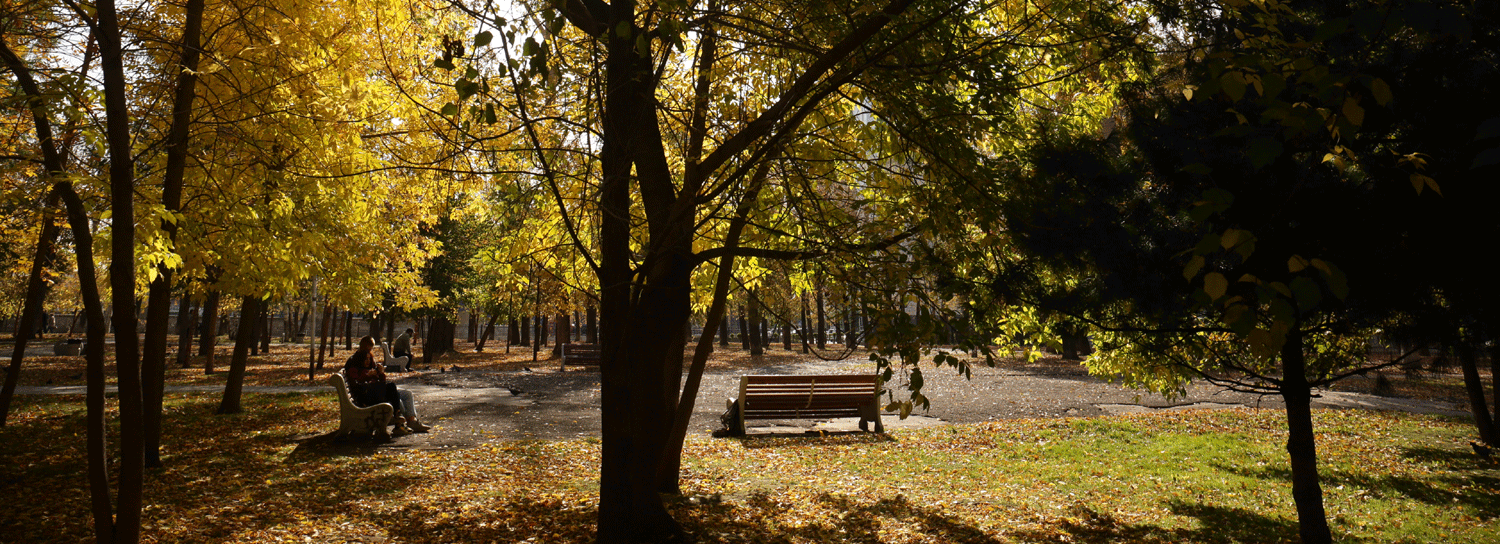 Новосибирцы попросили сохранить фонтан в сквере имени Калинина