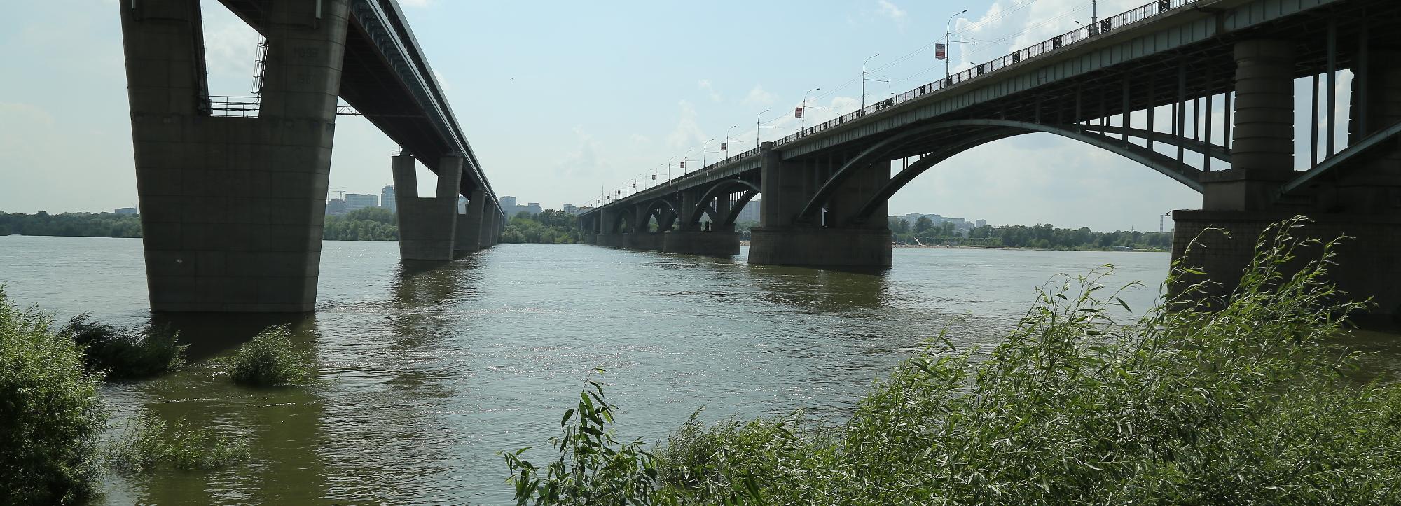 Шесть тысяч мальков краснокнижных рыб выпустят в Обь по заказу СГК