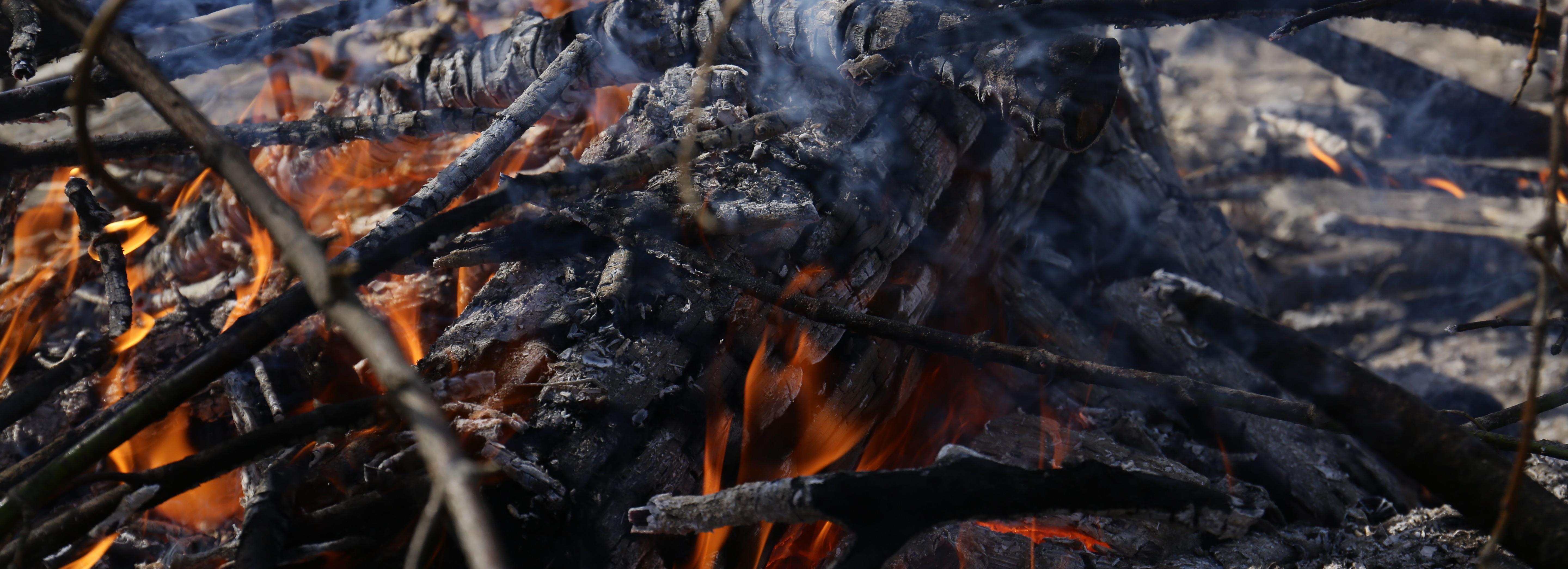 Особый противопожарный режим ввели 24 апреля в Новосибирской области