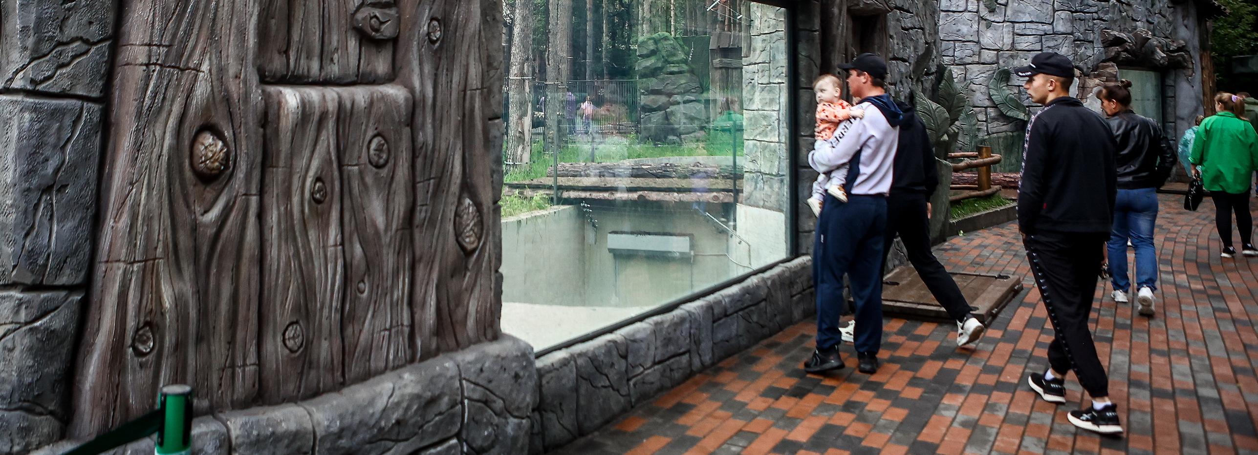 Ветеринарную клинику построят в новосибирском зоопарке