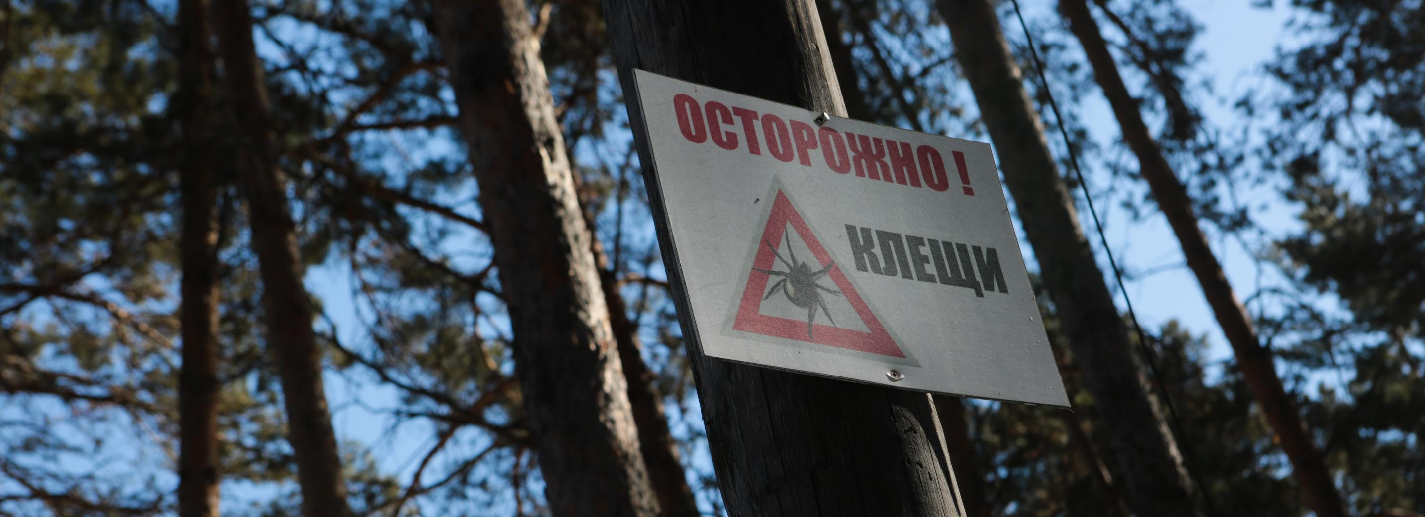 Клещи чаще кусают новосибирцев в Первомайском районе