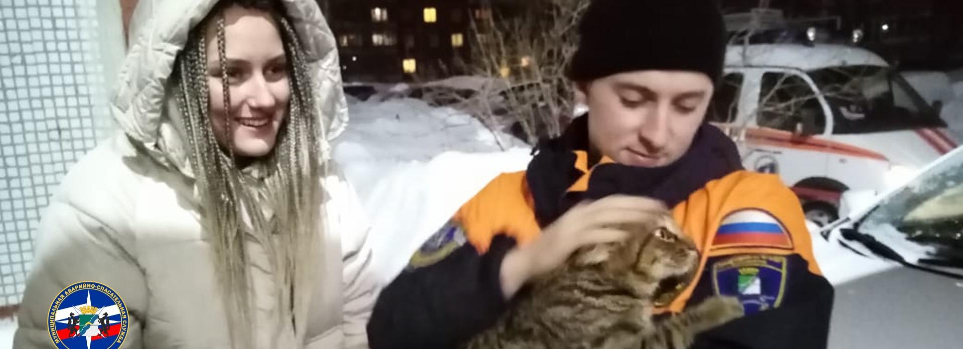 Спасатели вытащили замёрзшую кошку из трубы в Академгородке