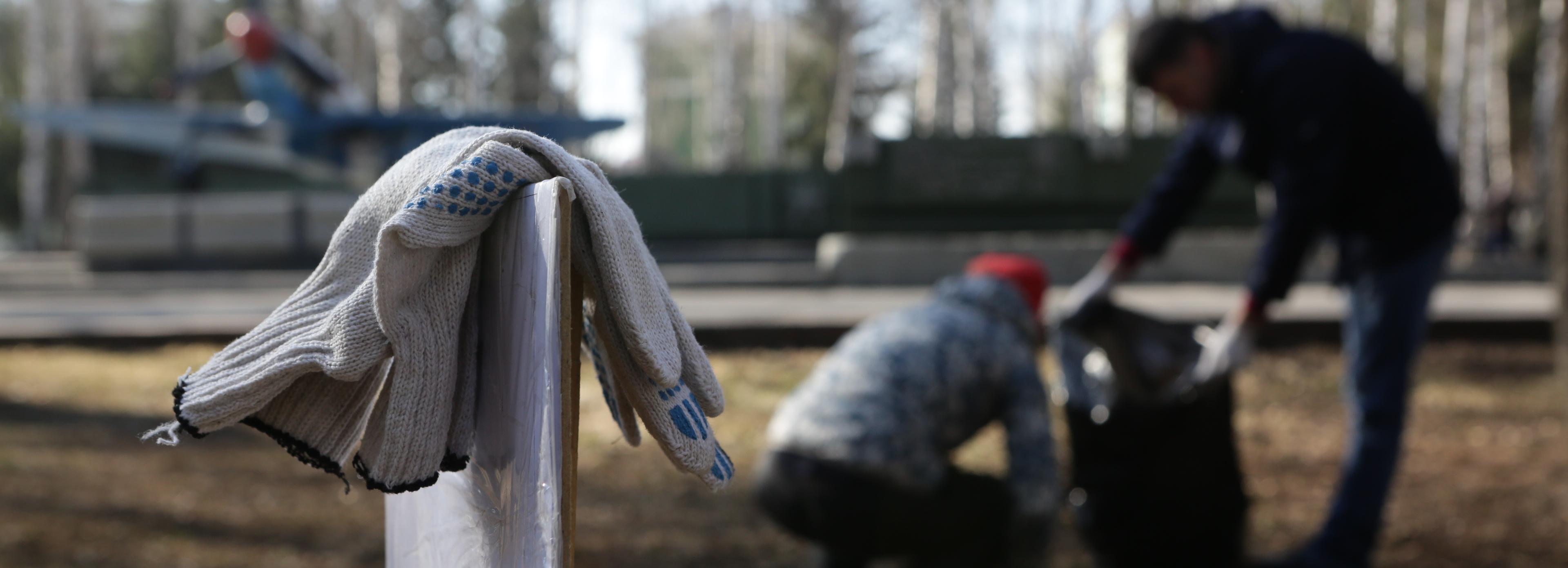 Народный аутсорсинг: новосибирцы убирают город за вознаграждение