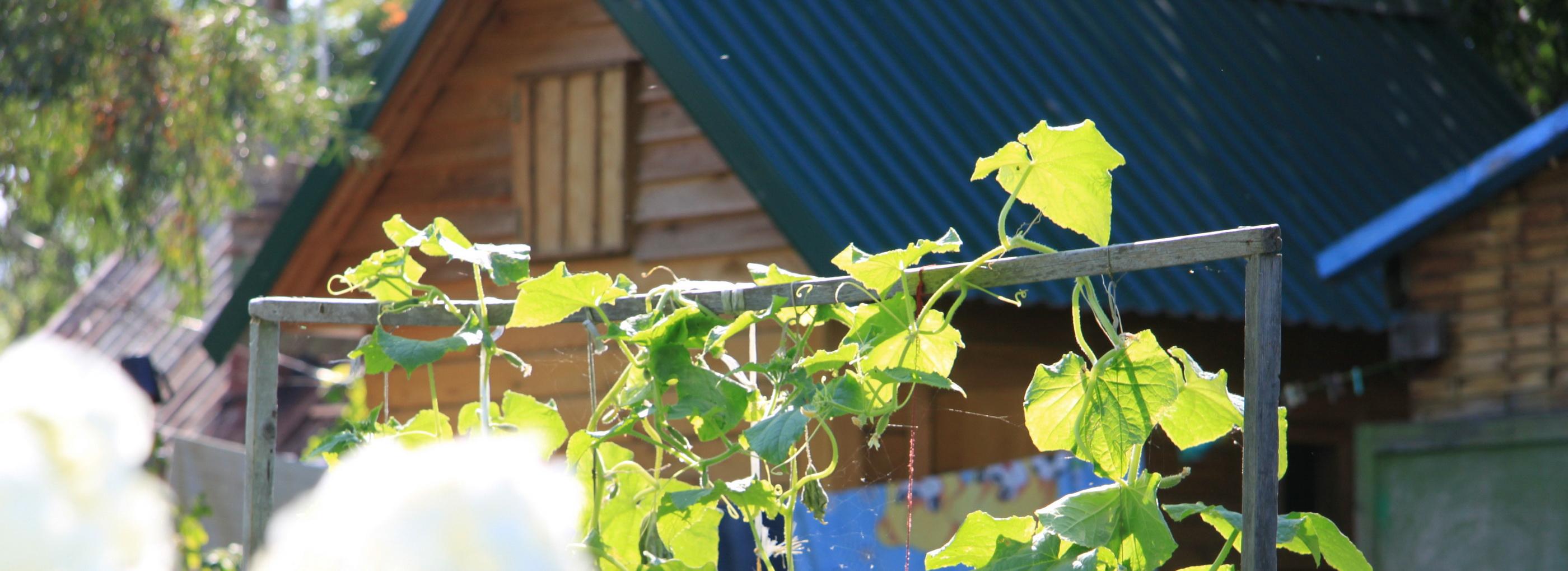 Новосибирцы принялись искать строителей и отделочников для дач