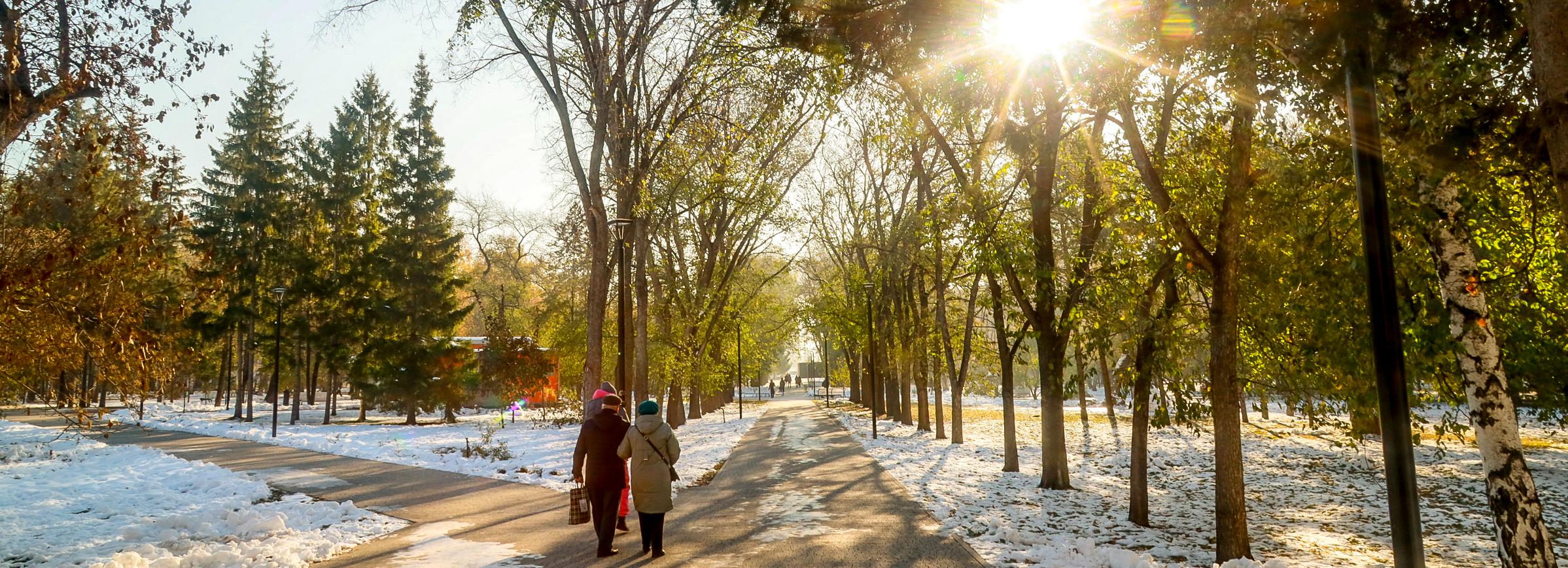 Потепление до +10 градусов ждёт новосибирцев к концу рабочей недели