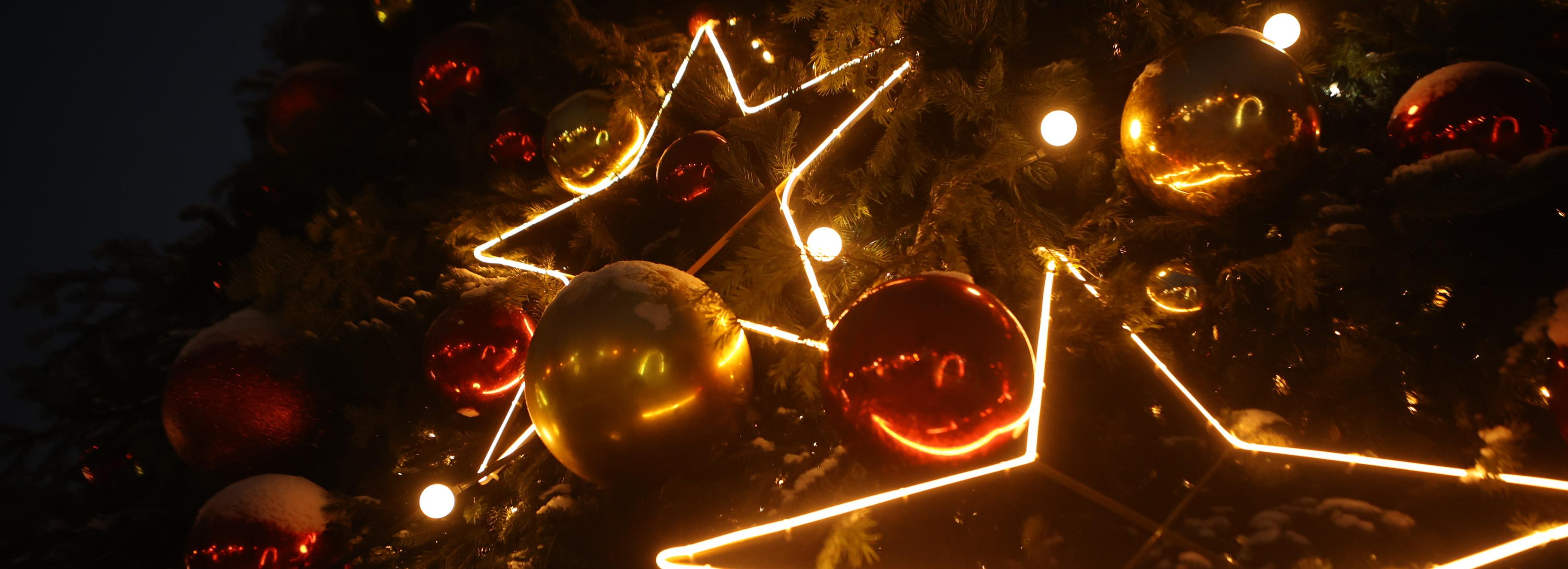 Новогодние ёлки в парках Новосибирска погасят в конце недели