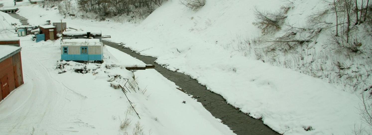 Стало известно, какие застройщики помогут создать парк в пойме Ельцовки