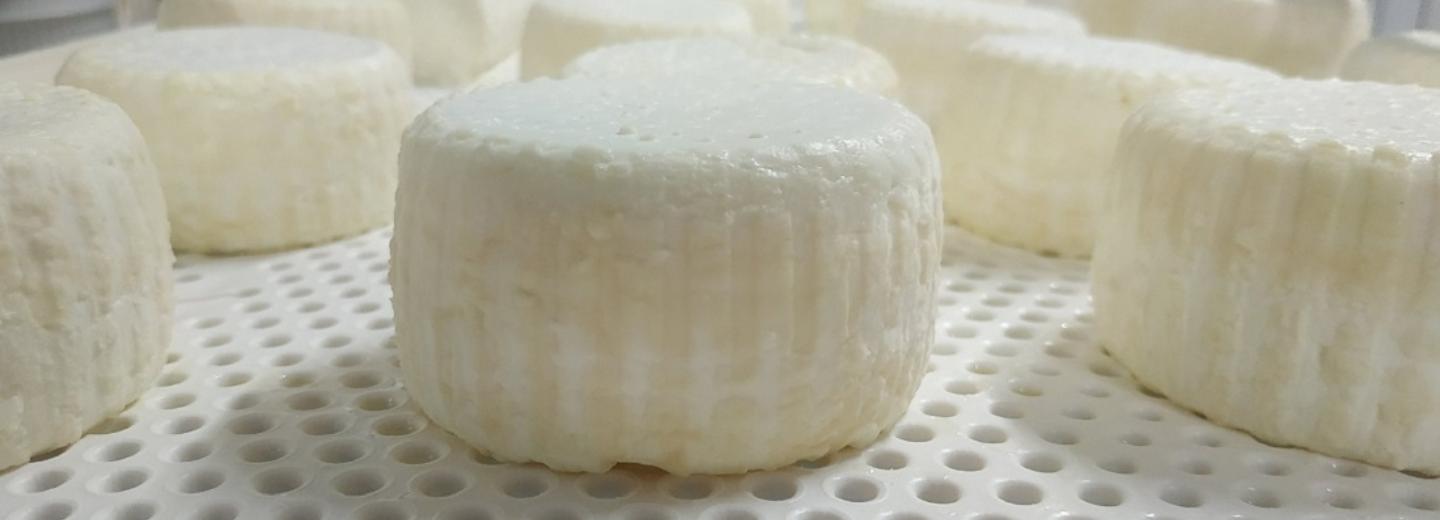 Если вы пропустили: школы мечты, сыр с черёмухой и портрет мигранта