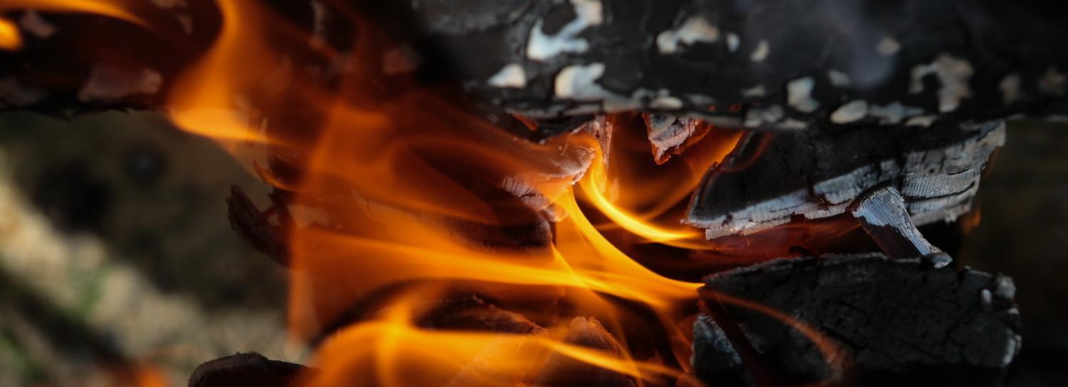 В Новосибирске подскочило количество пожаров из-за пала травы