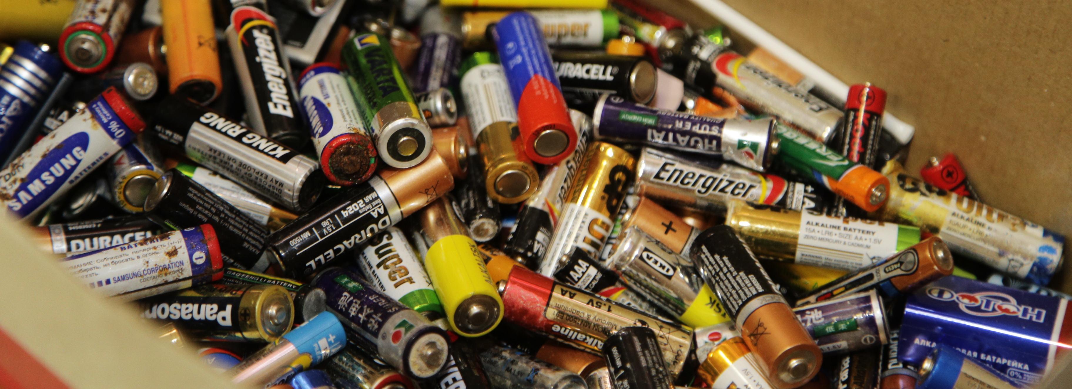 Вредный мусор обменяют на мороженое 19 мая в Центральном парке