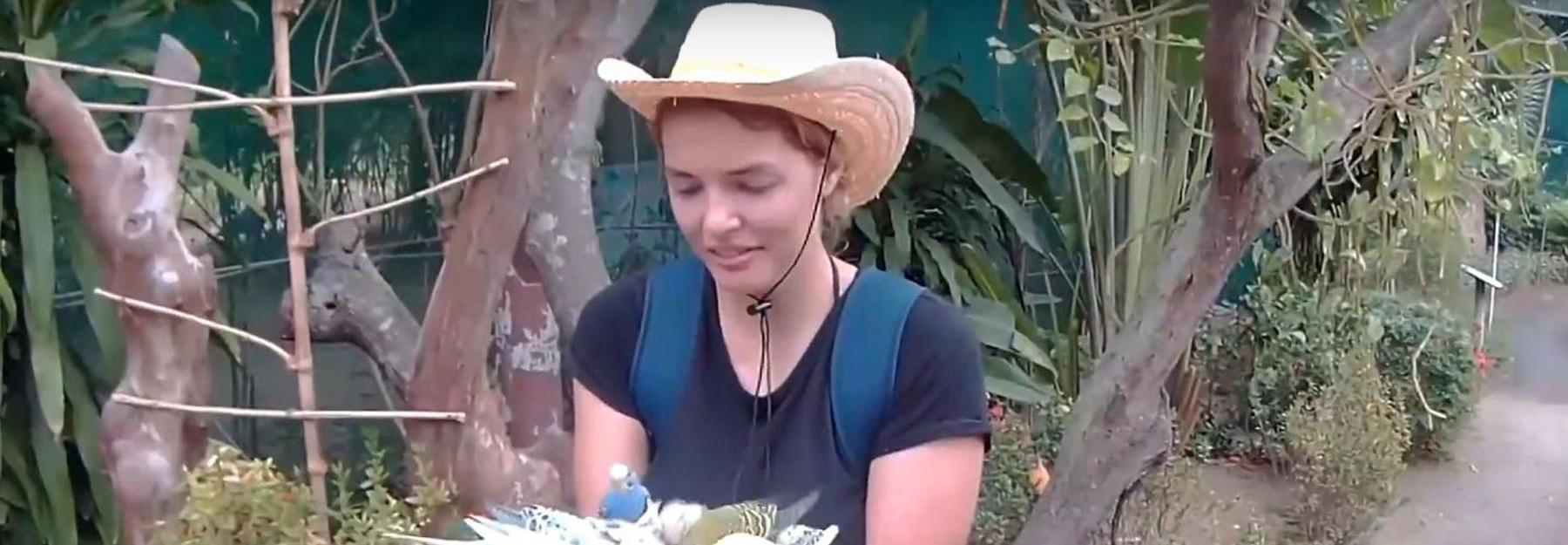 Как жить, не выходя из дома: вспомнить отпуск и начать работать