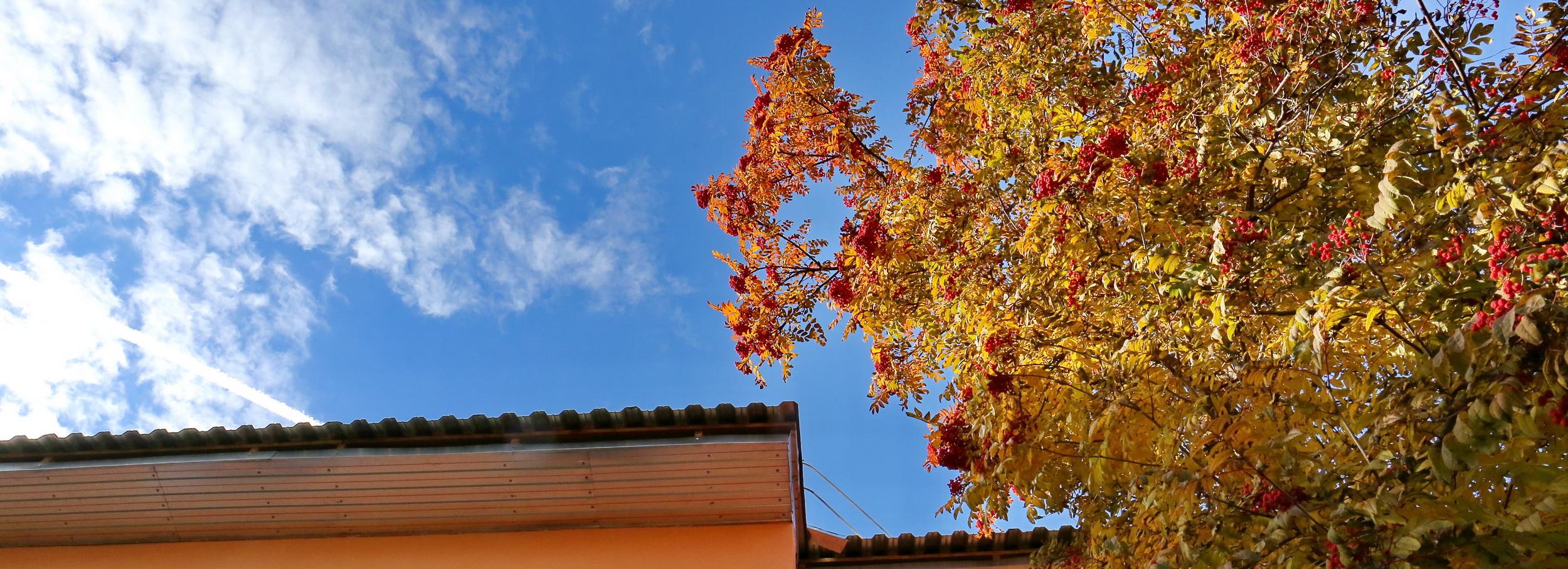 17-градусное тепло ещё вернётся в Новосибирск этой осенью