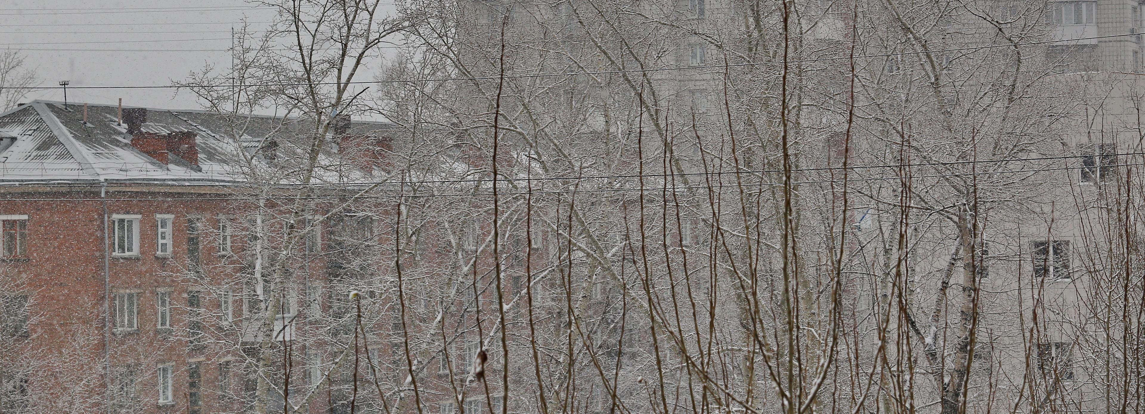 Ветер снова разгонится до 25 м/с в Новосибирской области с 14 января