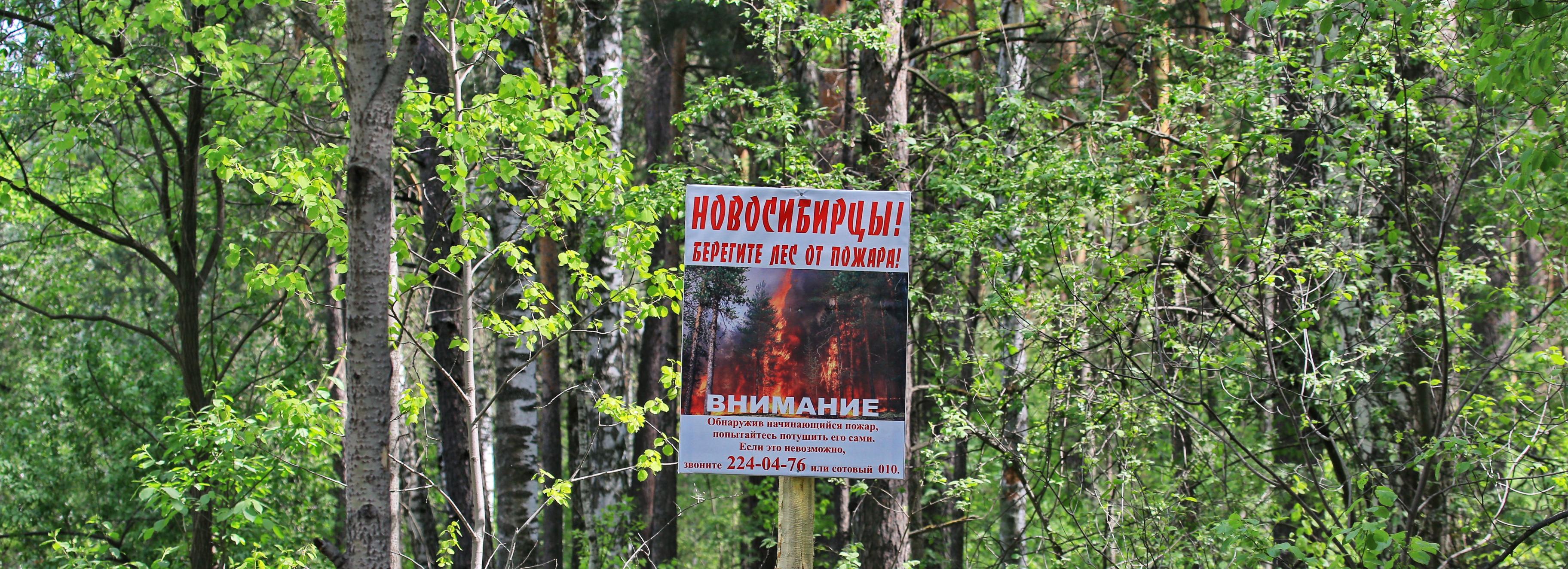 ТВ-вещание впервые прервали из-за пожаров в Новосибирской области