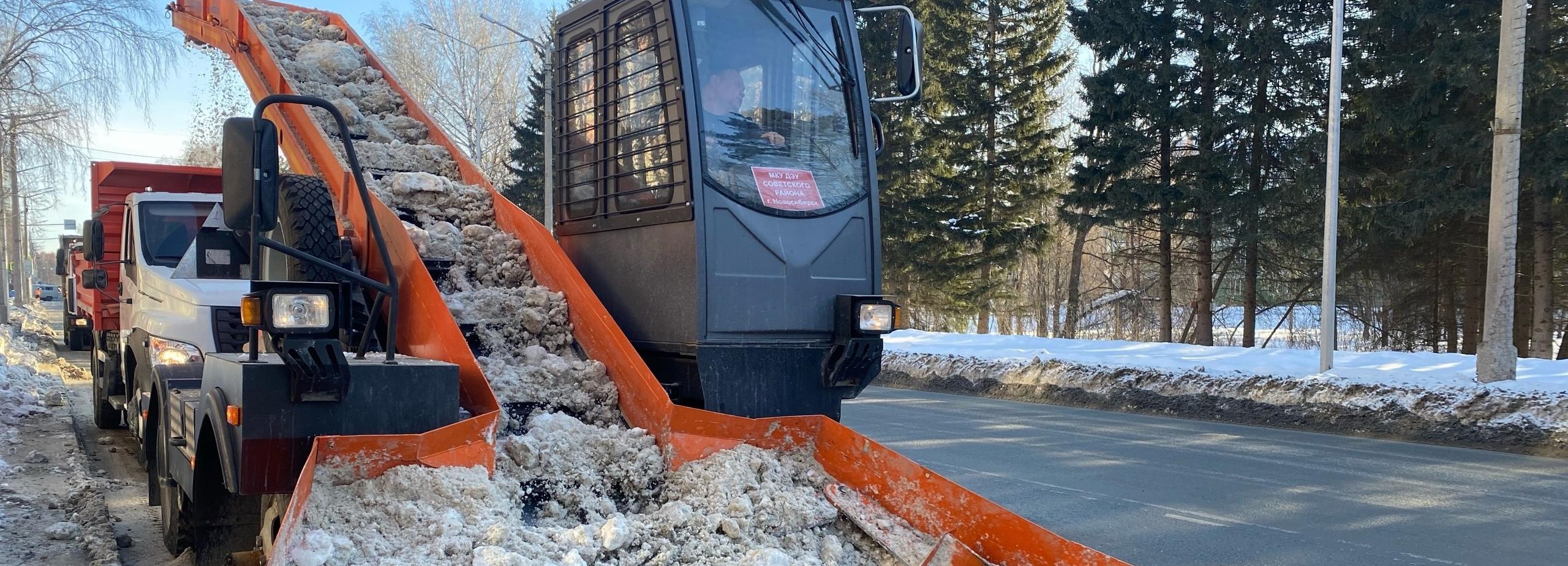 «Тёщины руки» с мини-пылесосами чистят улицы Академгородка круглые сутки