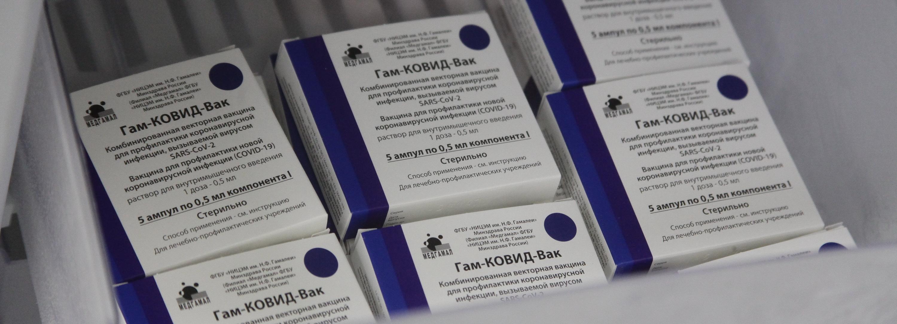 Очередная волна ковида может прийти в Новосибирск раньше гриппа