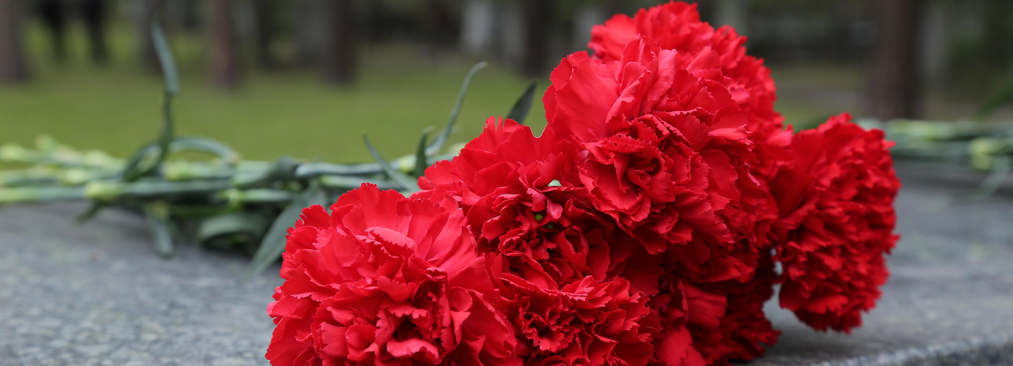 Сведения о стрелке из войск НКВД собирают в Новосибирске