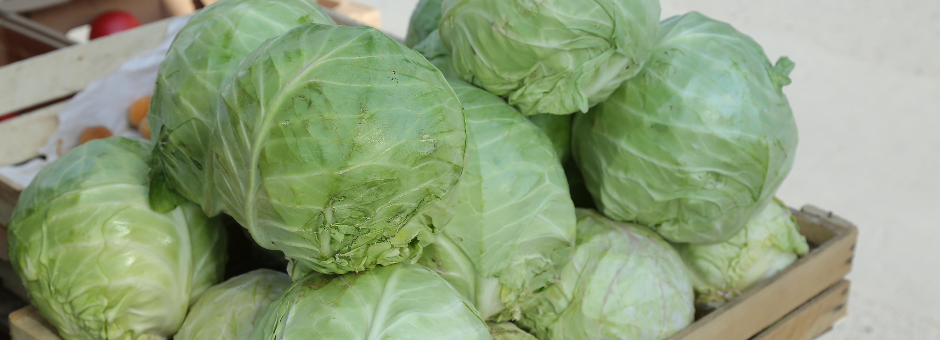 Врачи назвали 4 витамина, которые осенью организму нужнее всего