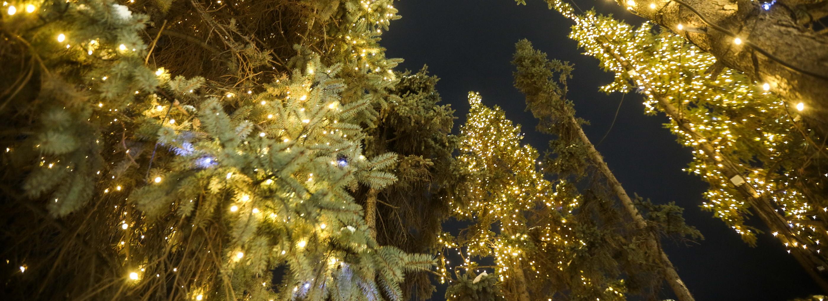 Растут настроение и траты: как готовятся к Новому году новосибирцы