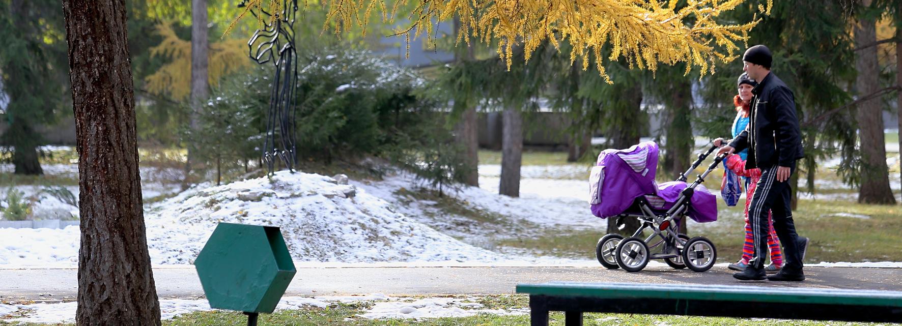 Зима подождёт: тепло до +4 градусов прогнозируют синоптики в Новосибирске