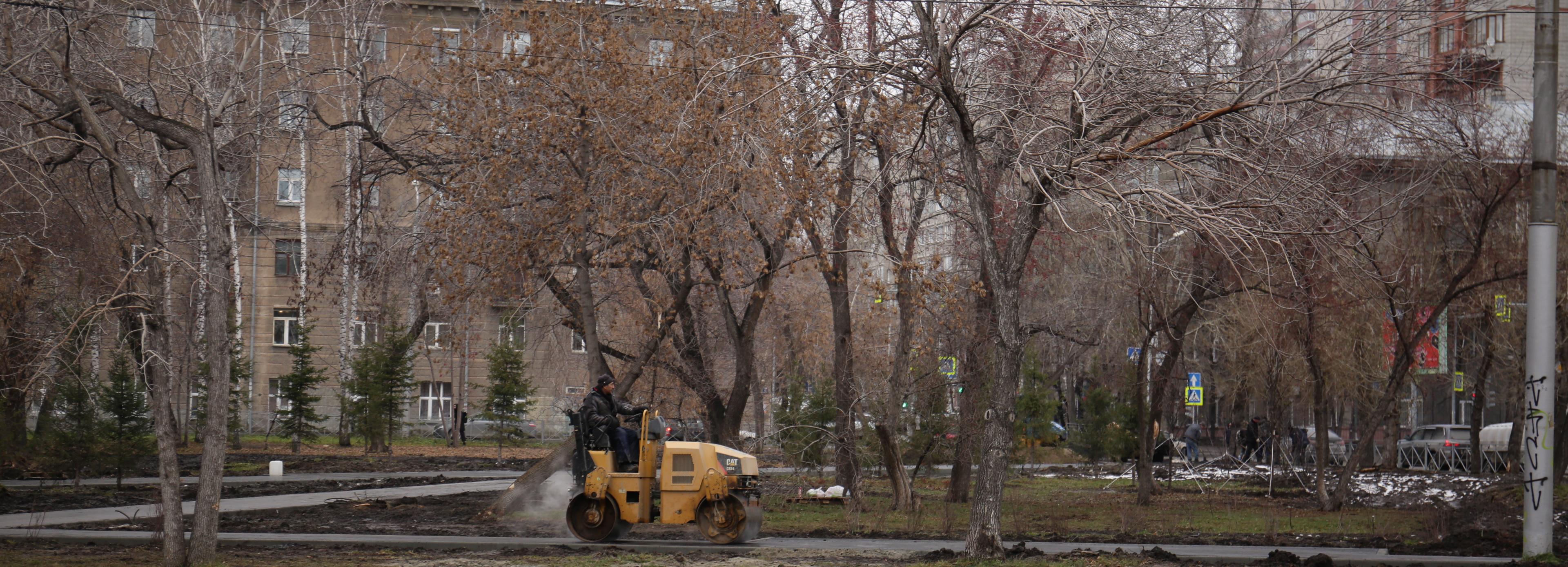 Сквер за оперным театром в Новосибирске избавят от клёнов-захватчиков