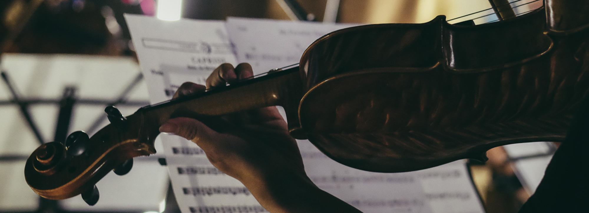 Скрипачка из Египта переехала в Новосибирск и получила гражданство РФ