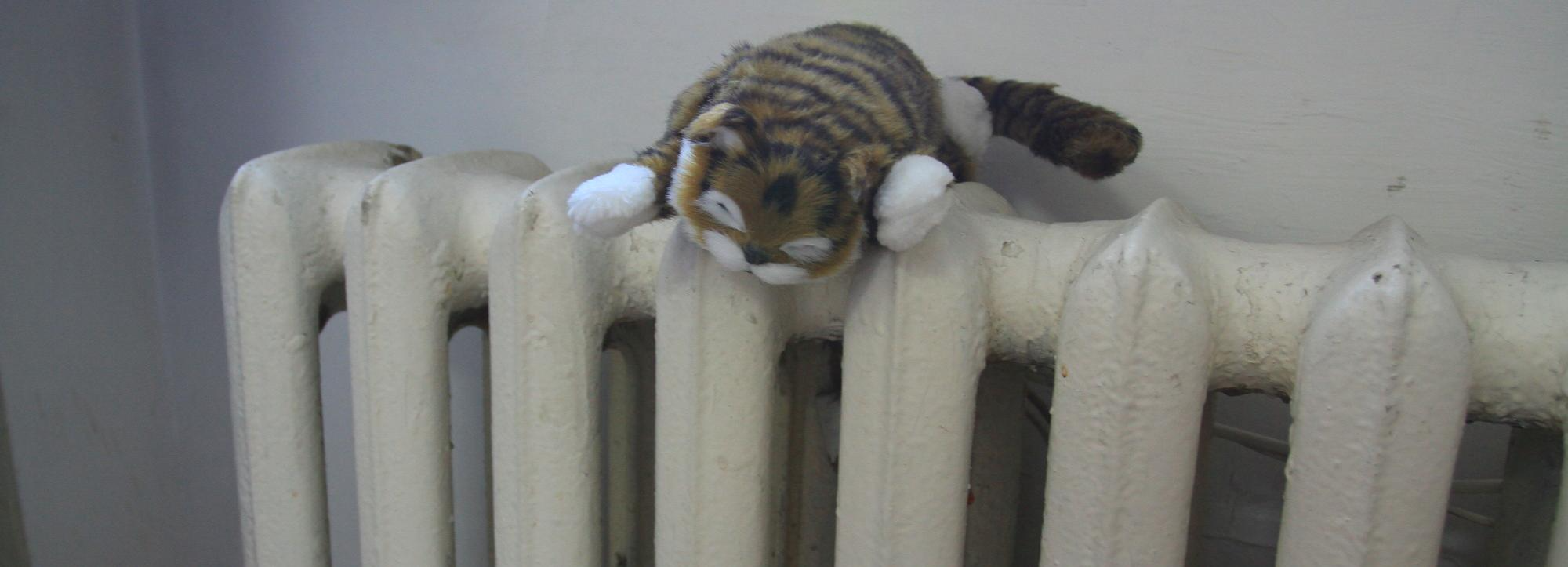 Когда нагреются батареи в домах на левом берегу