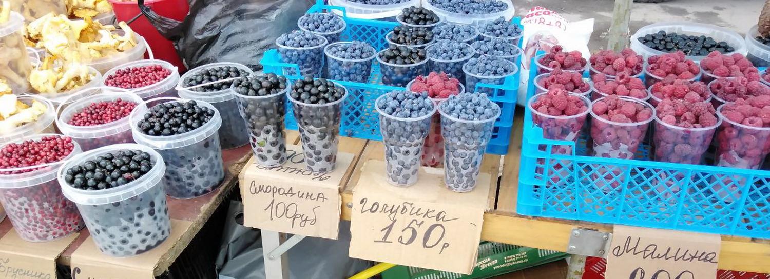 Голубику, бруснику и сухие грузди начали продавать в Новосибирске