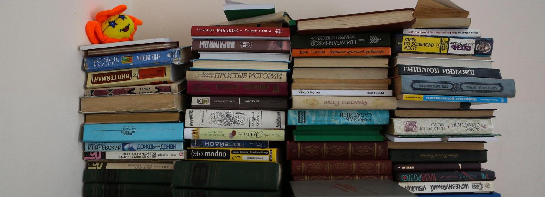 Новосибирцам предложили принести в библиотеку книги для заключённых