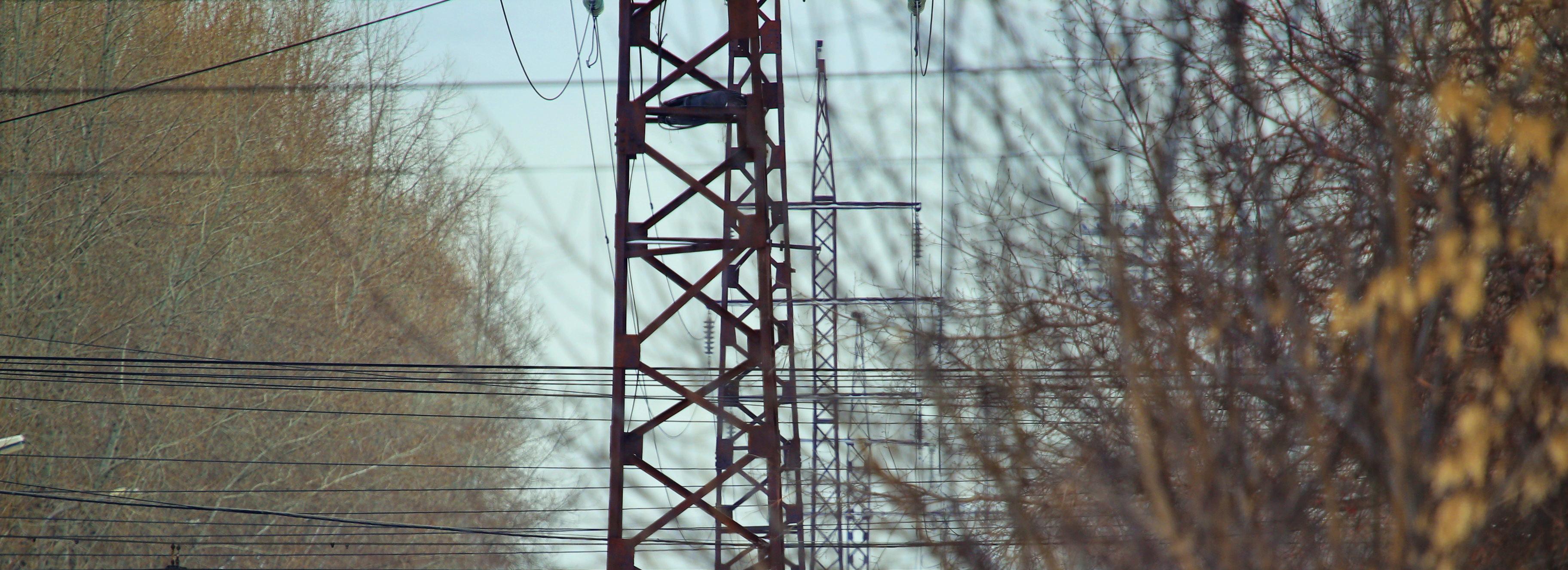 Спиленное дерево лишило света 6500 жителей Новосибирской области