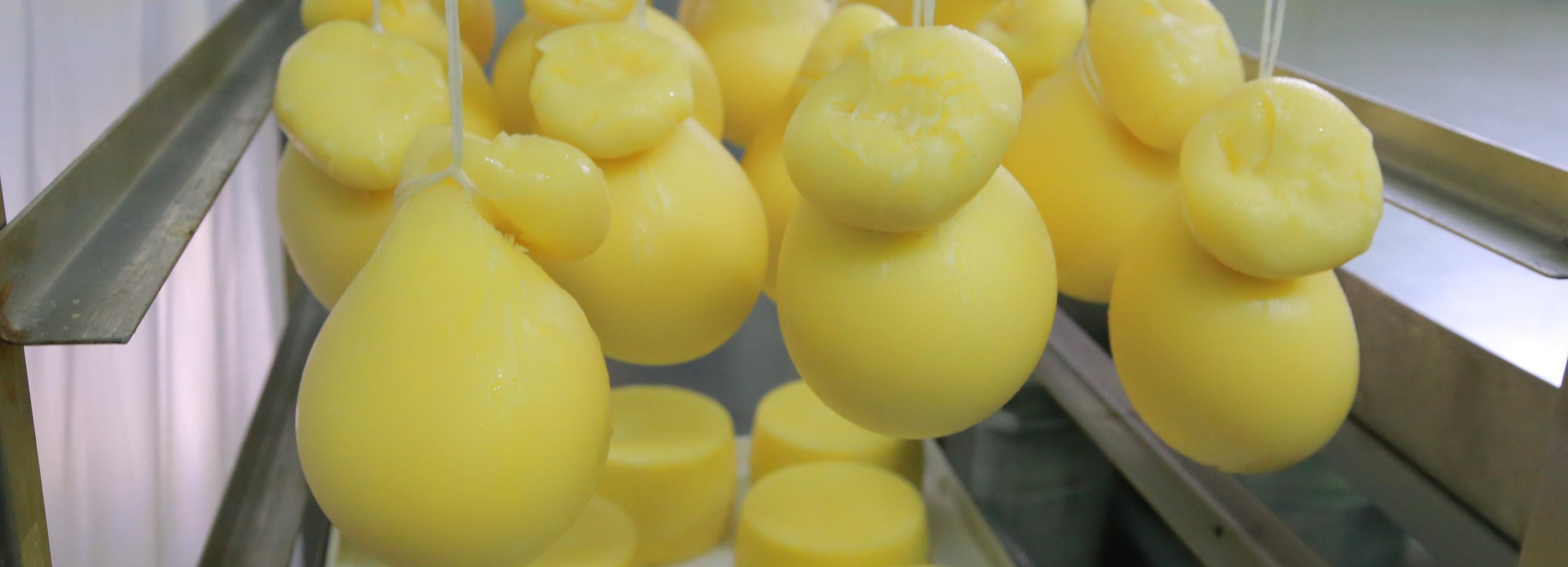 Готовить хосомаки, груздянку и страчателлу научат самозанятых