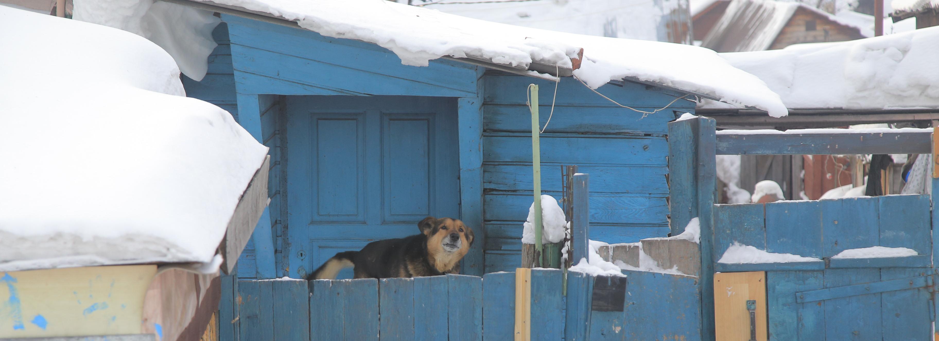 Больше 700 пожарных рейдов провели в СНТ и частном секторе Новосибирска