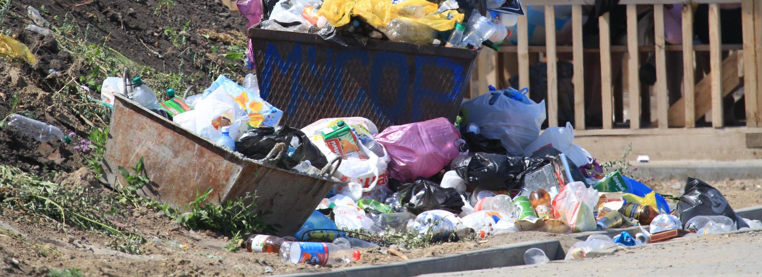 На «Экологию-Новосибирск» завели дело за горы мусора в центре города