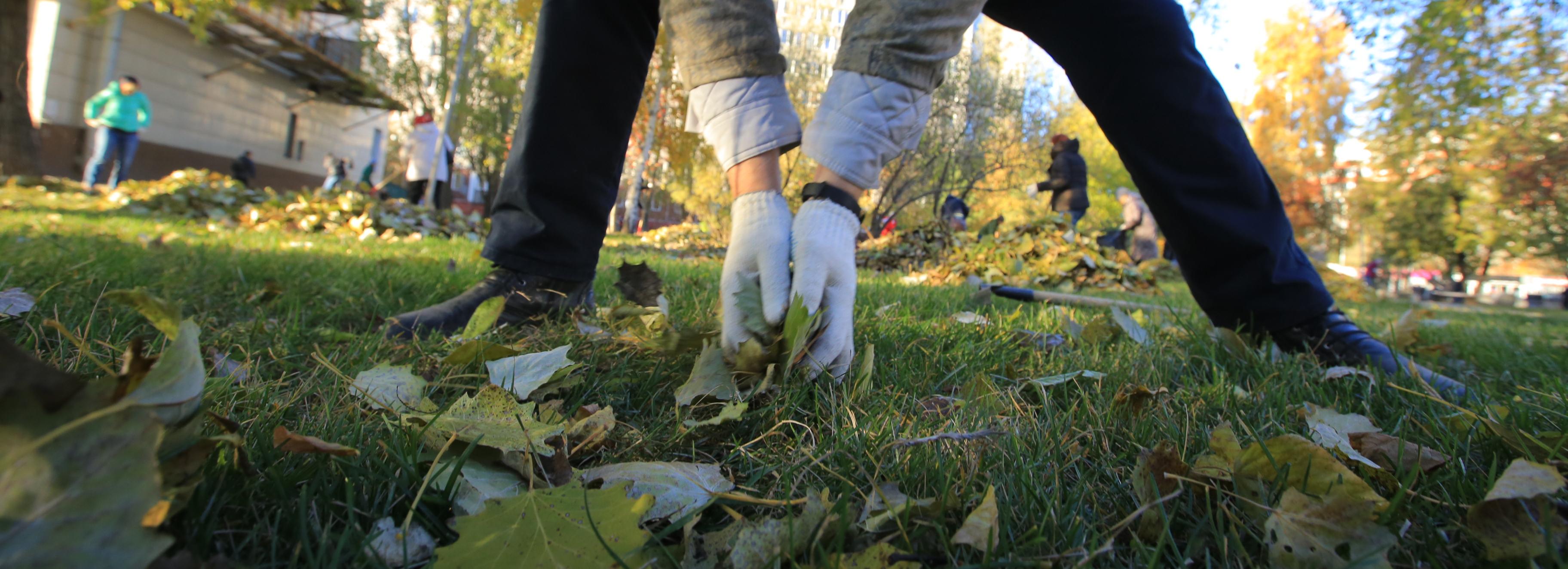 Новосибирцы собрали мусор и листву — мотивирующие фото с субботника