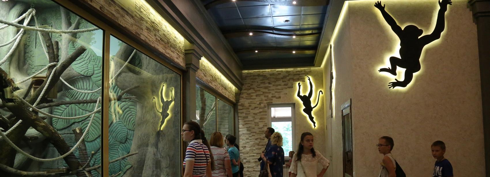 Если вы пропустили: крутой замес, толстый лори и «брат» Академгородка