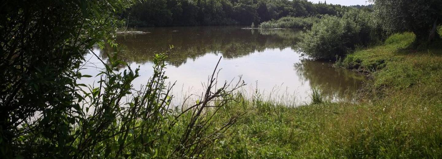 Трое парней утонули в Новосибирске за неделю