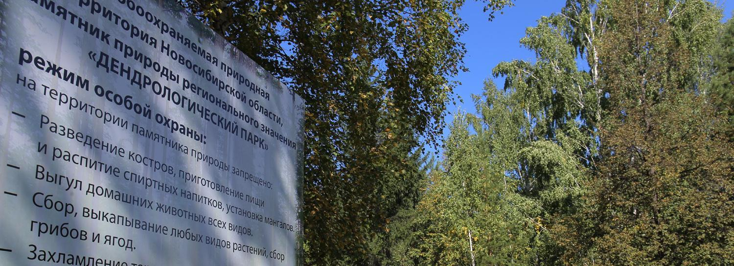 Аудиогид для прогулок по дендропарку появился в Новосибирске